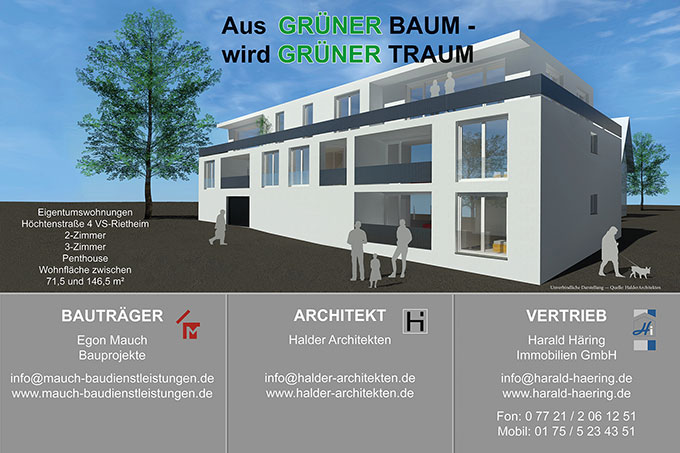 Projekt Grüner Baum, Rietheim
